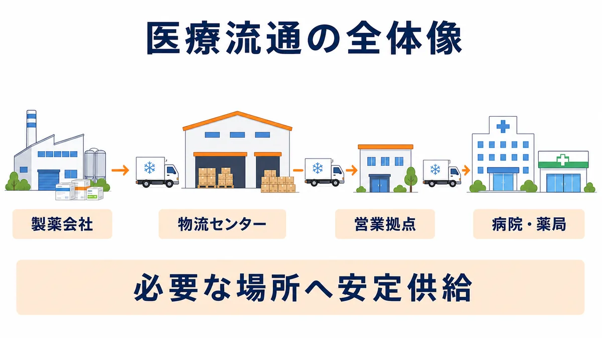 医薬品卸が製薬会社から物流センターと営業拠点を経て病院・薬局へ安定供給する商流図