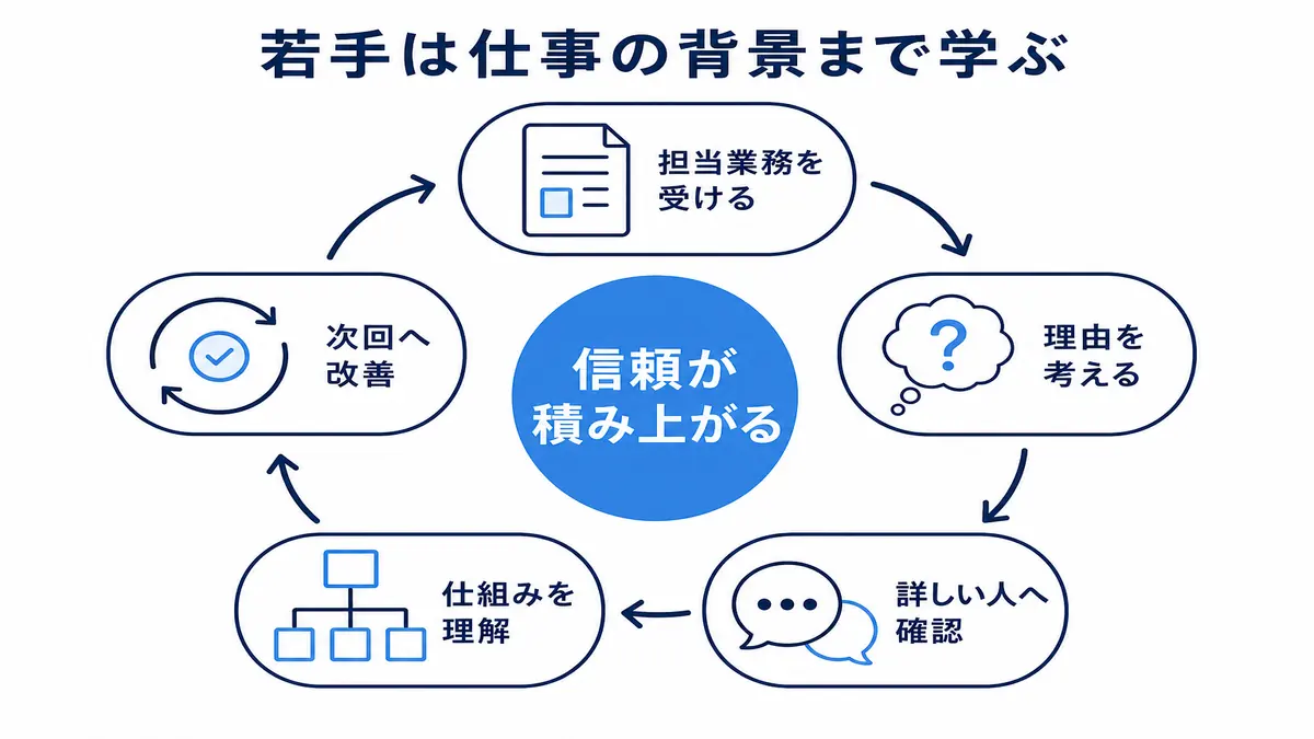 担当業務を受け、理由を考え、詳しい人へ確認し、仕組みを理解して次回へ改善することで信頼を積み上げる循環