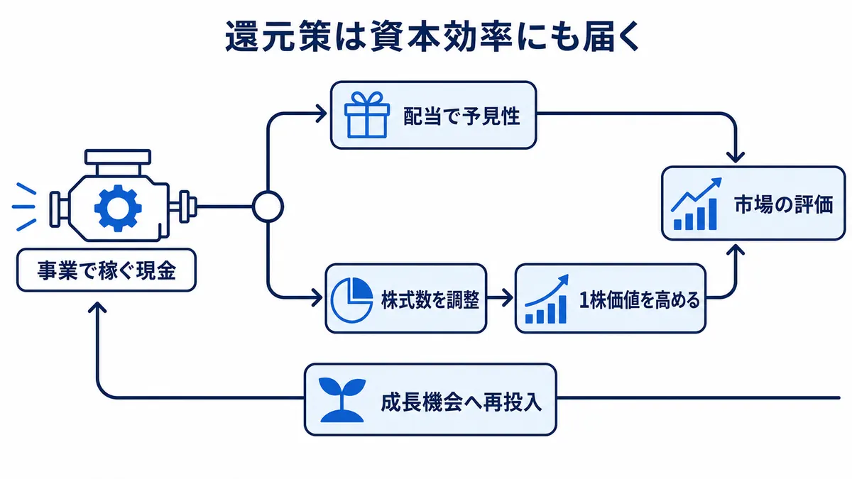 事業で稼いだ現金を配当と株式数の調整へ分け、予見性と1株価値を高めて市場評価へつなげ、その評価を次の成長機会へ循環させる構造