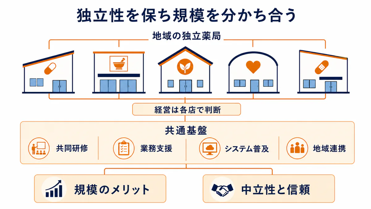 地域の独立薬局が各店の経営判断を保ちながら、共同研修、業務支援、システム、地域連携の共通基盤を共有して規模のメリットを得る連合ネットワーク図